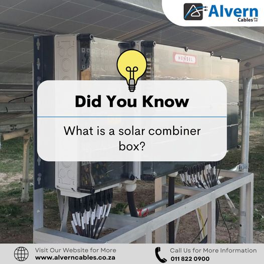 did-you-know-?