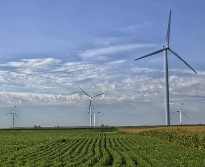 Renewable Sustainable Energy