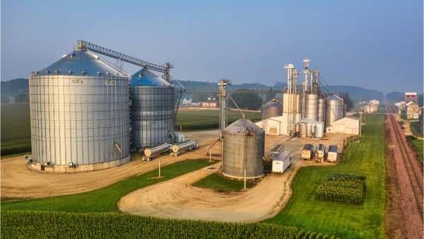 Agriculture