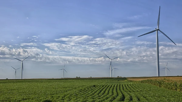 Renewable Energy